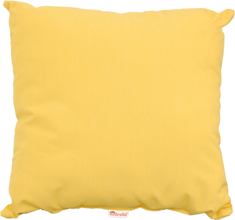 19 Throw Pillow
