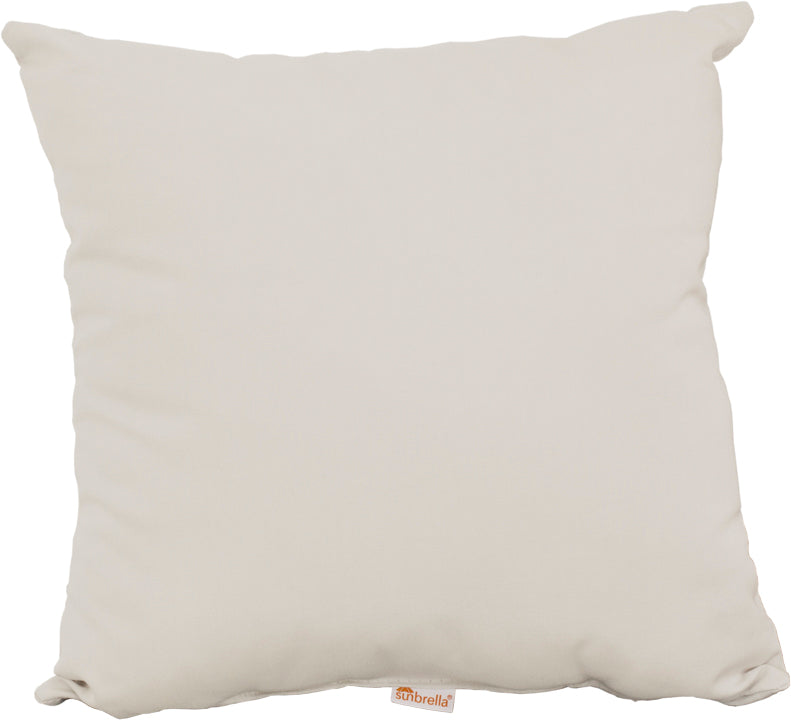 19 Throw Pillow