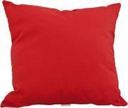 19 Throw Pillow Logo