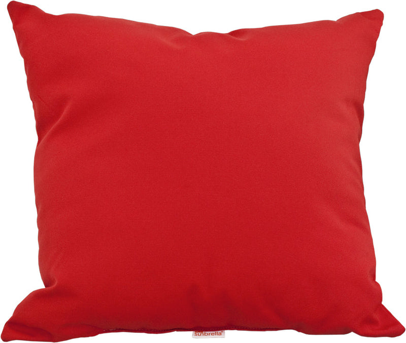 19 Throw Pillow Logo