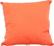 19 Throw Pillow