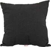 19 Throw Pillow Spectrum