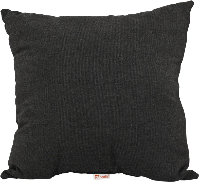 19 Throw Pillow Spectrum