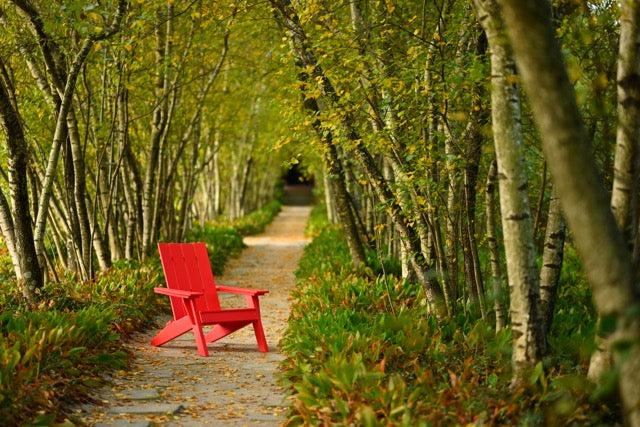 Urban Adirondack Chair Red 1