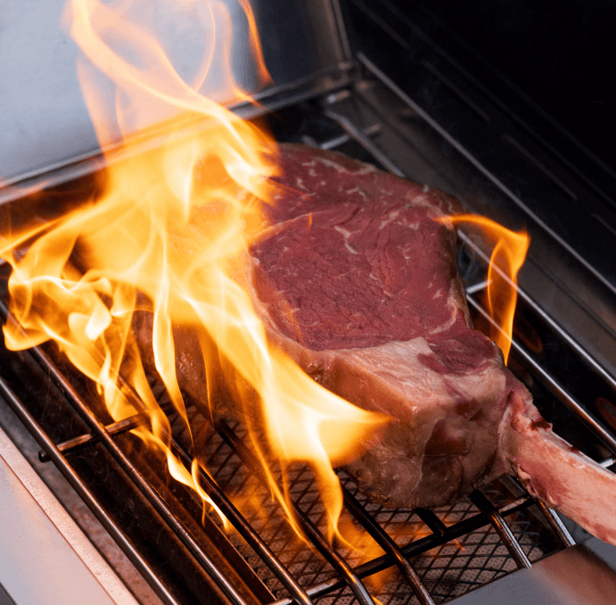 Monument Grills Eminence 405 |Chic Clearview® Smart Stainless Gas Grill