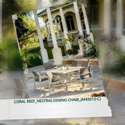 Coral Reef_Nesting Dining Chair_(M4501S-C) by@Outfy