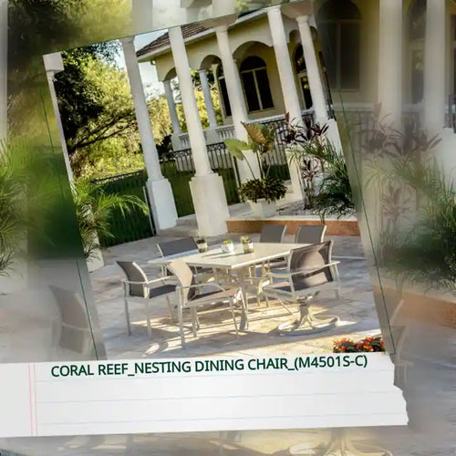 Coral Reef_Nesting Dining Chair_(M4501S-C) by@Outfy